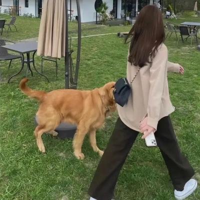 娜迦项链